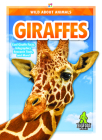 Giraffes By Emma Huddleston Cover Image