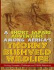 A Short Safari adventure among Africa's thorny Bushveld wildlife: VOL 2: Hunting, Ecosystem Challenges and Wildlife Restorancy Cover Image