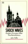 Shock Waves: Eastern Europe After the Revolutions Cover Image