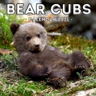 Bear Cubs Calendar 2021: 16-Month Calendar, Cute Gift Idea For Newborn Bear Lovers Women & Men Cover Image
