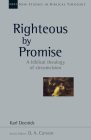 Righteous by Promise: A Biblical Theology of Circumcision (New Studies in Biblical Theology #45) By Karl Deenick, D. A. Carson (Other) Cover Image