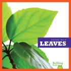 Leaves (Nature Walk) Cover Image