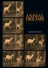 Animal Dreams By David Brooks Cover Image