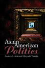 Asian American Politics (Us Minority Politics #2) By Andrew Aoki, Okiyoshi Takeda Cover Image