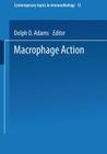 Macrophage Activation (Contemporary Topics in Immunobiology #13) By Dolph O. Adams (Editor) Cover Image