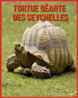 Tortue Géante des Seychelles: Photos Etonnantes & Recueil d'Informations Amusantes Concernant les Tortue Géante des Seychelles pour Enfants By Alicia Moore Cover Image