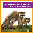Cachorros de Mapache En La Naturaleza (Raccoon Cubs in the Wild) By Katie Chanez, N/A (Illustrator) Cover Image