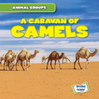 A Caravan of Camels (Animal Groups) Cover Image