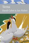 Terns (Collins New Naturalist Library #123) By David Cabot, Ian Nisbet Cover Image
