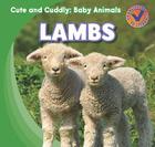 Lambs (Cute and Cuddly: Baby Animals) By Katie Kawa Cover Image