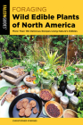Foraging Wild Edible Plants of North America: More Than 150 Delicious Recipes Using Nature's Edibles By Christopher Nyerges Cover Image