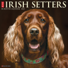 Just Irish Setters 2023 Wall Calendar By Willow Creek Press Cover Image