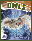 Owls By Golriz Golkar Cover Image