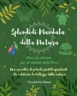 Splendidi Mandala della Natura Libro da colorare per gli amanti della Terra Arte rilassante antistress: Una raccolta di simboli spirituali che celebra Cover Image