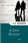 A Late Divorce By A.B. Yehoshua Cover Image
