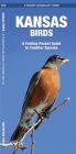 Kansas Birds: A Folding Pocket Guide to Familiar Species (Pocket Naturalist Guide) Cover Image