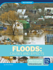 Floods: Causes and Effects (Wild Weather) By Anne Winch Cover Image