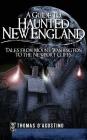 A Guide to Haunted New England: Tales from Mount Washington to the Newport Cliffs By Thomas D'Agostino Cover Image