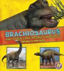 Brachiosaurus and Other Big Long-Necked Dinosaurs: The Need-To-Know Facts (Dinosaur Fact Dig) By Jon Hughes (Illustrator), Rebecca Rissman Cover Image