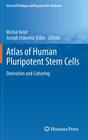 Atlas of Human Pluripotent Stem Cells: Derivation and Culturing (Stem Cell Biology and Regenerative Medicine) By Michal Amit (Editor), Joseph Itskovitz-Eldor (Editor) Cover Image