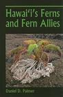 Hawai'i's Ferns and Fern Allies By Daniel D. Palmer Cover Image