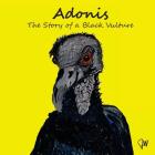 Adonis The Story Of A Black Vulture By Jayne Lakhani (Illustrator), Wendy J. Jones Cover Image