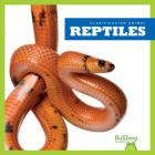 Reptiles (Reptiles) By Erica Donner Cover Image