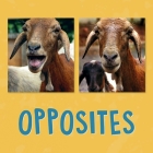 Opposites: English Edition By Kathy Knowles Cover Image