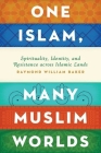 One Islam, Many Muslim Worlds: Spirituality, Identity, and Resistance Across Islamic Lands (Religion and Global Politics) Cover Image