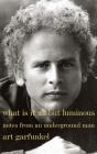 What Is It All but Luminous: Notes from an Underground Man By Art Garfunkel Cover Image