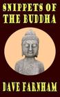 Snippets Of The Buddha By Dave Farnham Cover Image