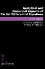Analytical and Numerical Aspects of Partial Differential Equations: Notes of a Lecture Series (de Gruyter Proceedings in Mathematics) Cover Image