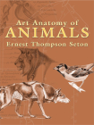 Art Anatomy of Animals (Dover Anatomy for Artists) By Ernest Thompson Seton Cover Image