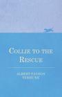 Collie to the Rescue By Albert Payson Terhune Cover Image