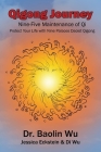 Qigong Journey: Nine-Five Maintenance of Qi, Protect Your Life with Nine Palaces Daoist Qigong Cover Image