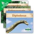 Dinosaurios (Dinosaurs Set 2) (Spanish Version) (Set) By Abdo Publishing (Manufactured by) Cover Image