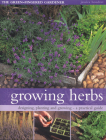 Growing Herbs (Green-Fingered Gardener S) Cover Image