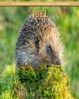 Igel: Ein erstaunliches Tierbilderbuch für Kinder By Martyna Castaldo Cover Image