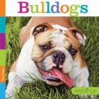 Bulldogs (Seedlings) By Kate Riggs Cover Image