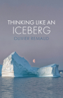 Thinking Like an Iceberg By Olivier Remaud, Stephen Muecke (Translator) Cover Image
