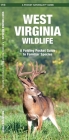 West Virginia Wildlife: An Introduction to Familiar Species (Pocket Naturalist Guide) By James Kavanagh, Waterford Press, Raymond Leung (Illustrator) Cover Image