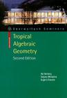 Tropical Algebraic Geometry (Oberwolfach Seminars #35) Cover Image