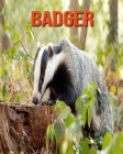 Badger: Incredible Pictures and Fun Facts about Badger Cover Image