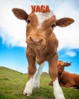Vaca: Imágenes asombrosas y datos curiosos By Pam Louise Cover Image