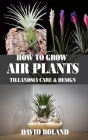How to Grow Air Plants: Tillandsia Care and Design By David Roland Cover Image