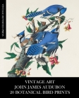 Vintage Art: John James Audubon: 20 Botanical Bird Prints By Vintage Revisited Press Cover Image