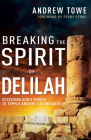 Breaking the Spirit of Delilah: Accessing God's Power to Topple Ancient Strongholds By Andrew Towe, Perry Stone (Foreword by) Cover Image