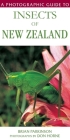 A Photographic Guide To Insects Of New Zealand Cover Image