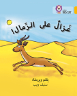 Collins Big Cat Arabic – Gazelle on the Sand: Level 9 Cover Image