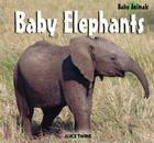 Baby Elephants (Baby Animals) By Alice Twine Cover Image